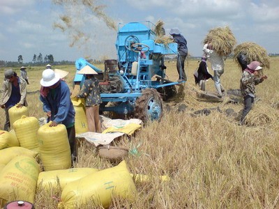 L'agriculture Vietnamienne citée comme brillant exemple à Davos - ảnh 1